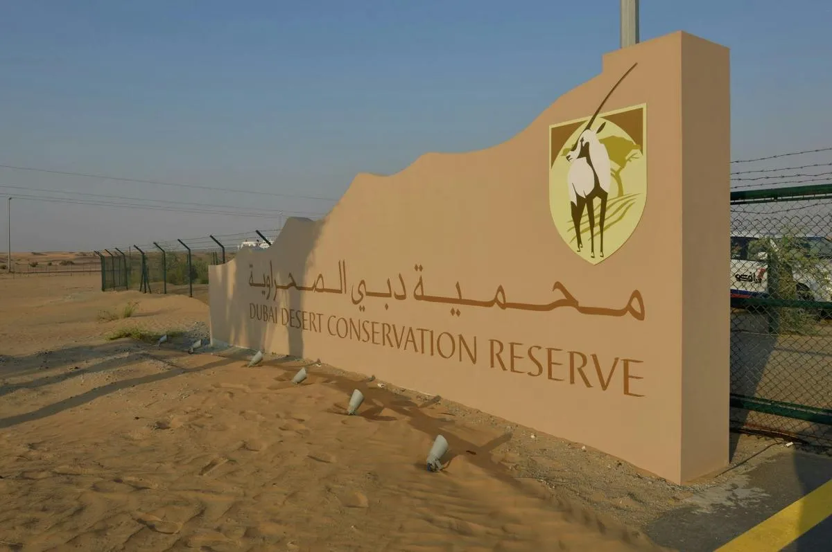 Image 3 of Private Desert Safari