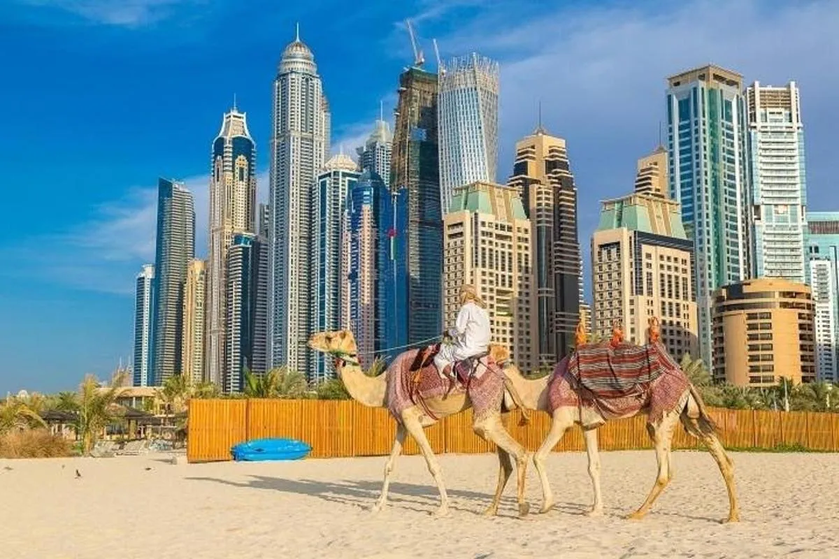 Image 2 of Private Dubai City Tour with Dubai Frame Ticket