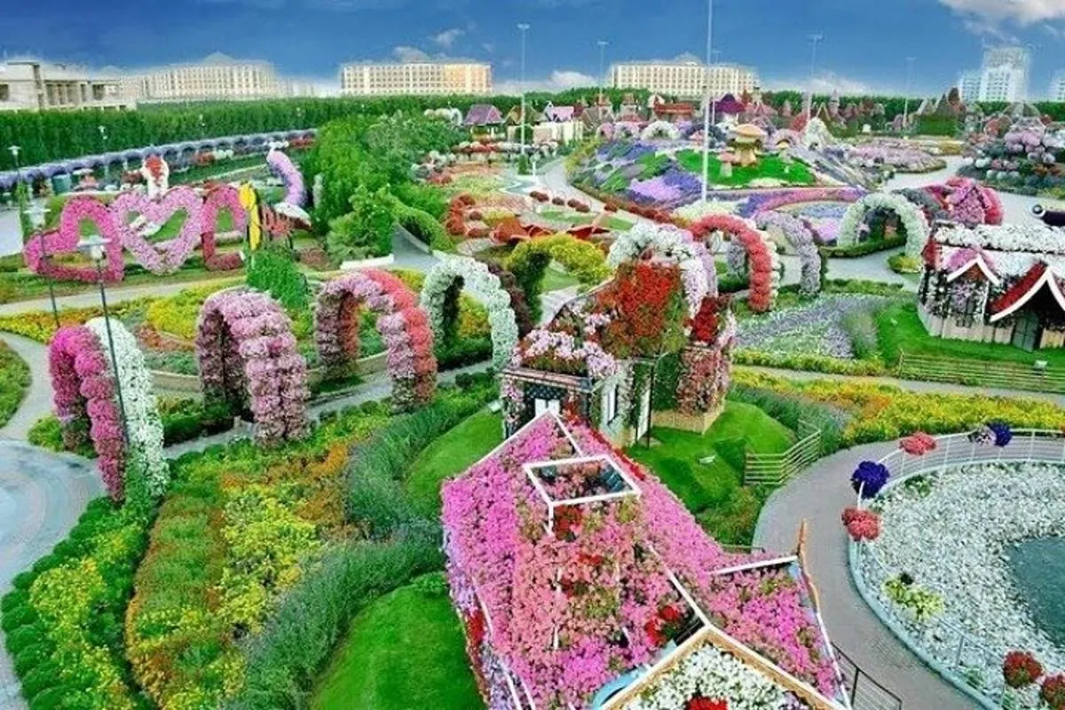 Image 5 of Private Dubai City Tour with Miracle Garden Ticket