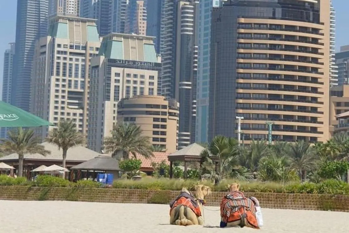Image 4 of Private : Dubai Full Day City Sightseeing Tour