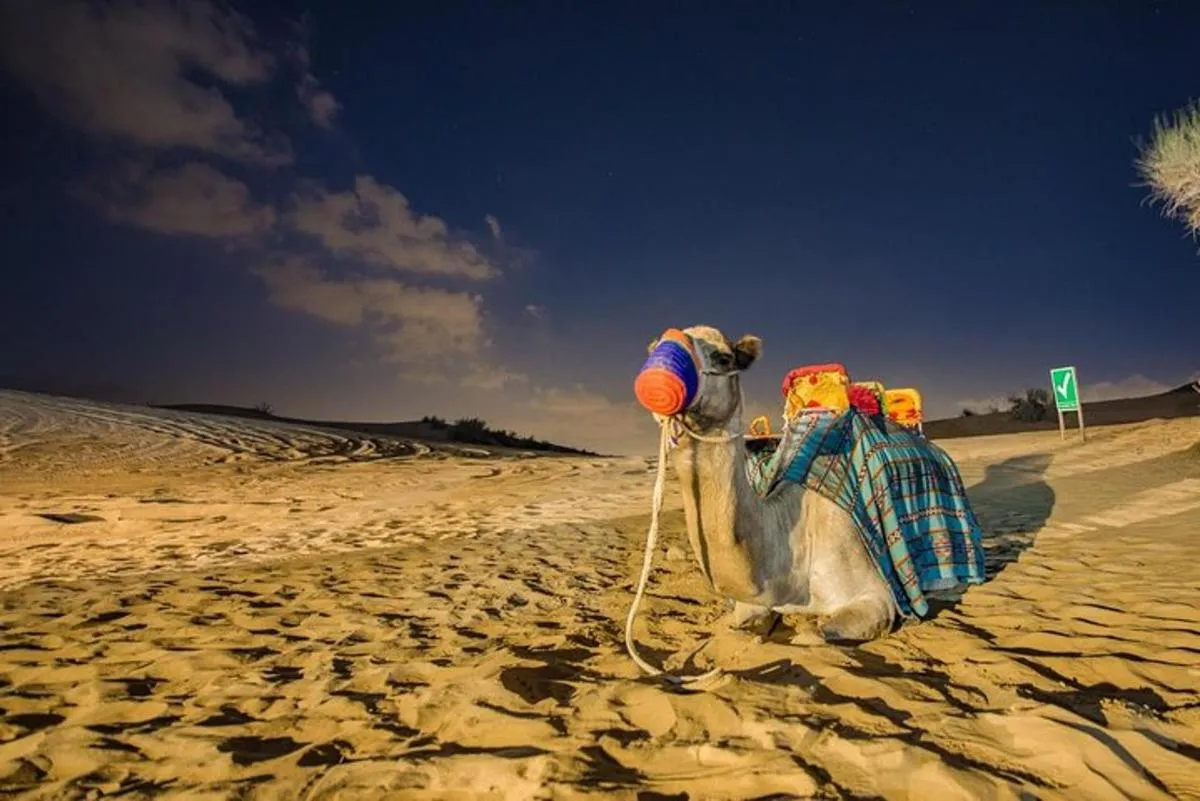 Image 1 of Private Evening Desert Safari with BBQ Dinner Dubai