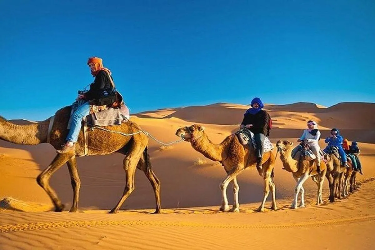 Image 6 of Private Evening Desert Safari with BBQ Dinner Dubai
