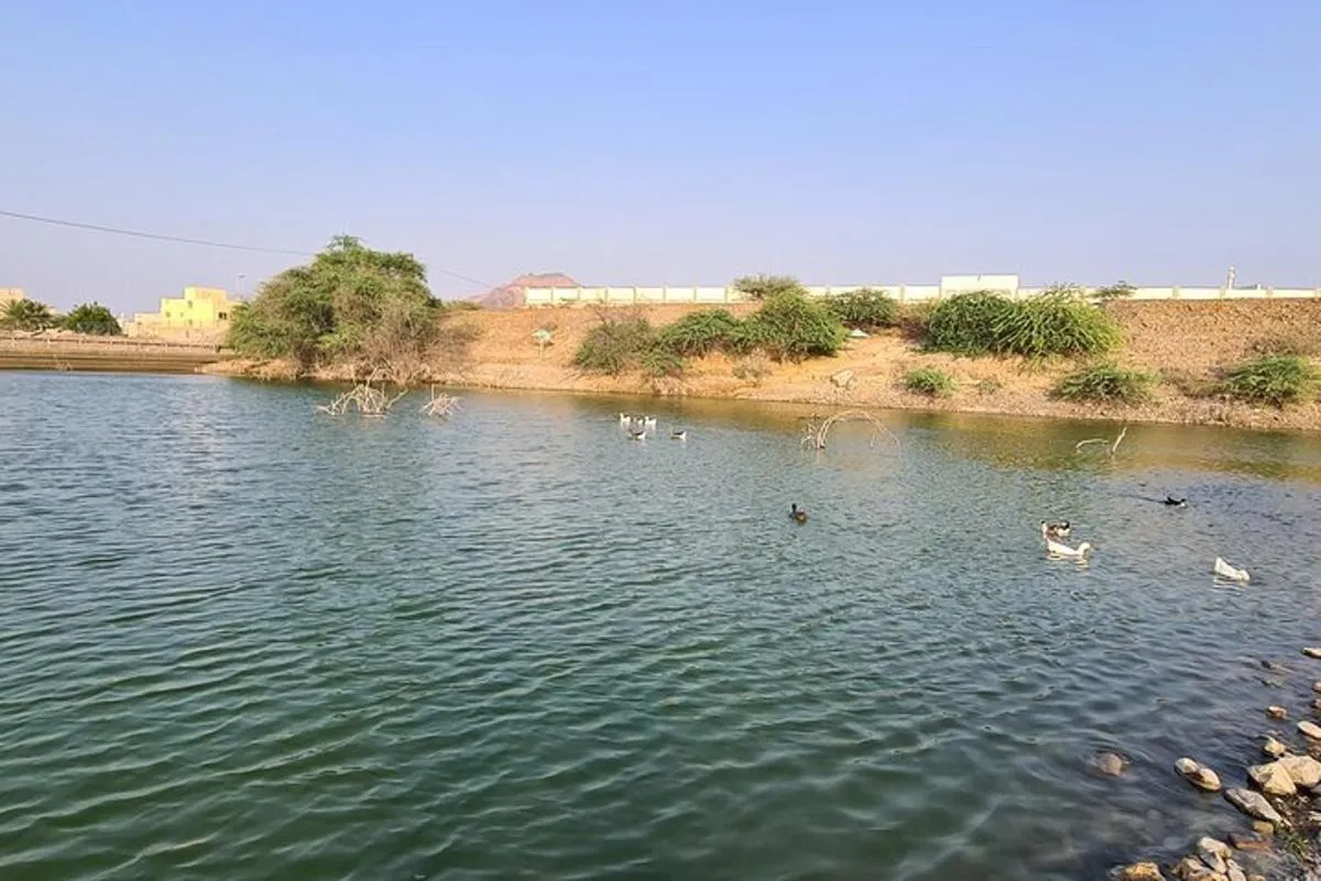 Image 2 of Private Full Day Hatta Visit Tour