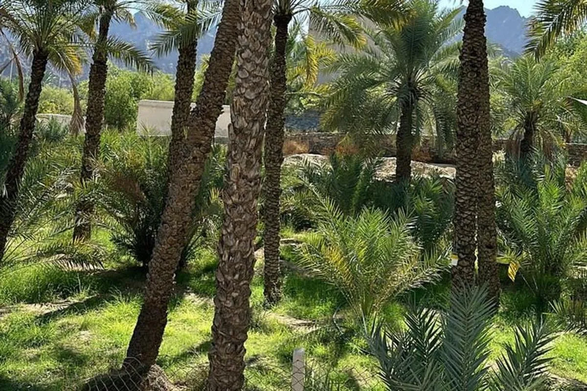 Image 6 of Private Full Day Hatta Visit Tour