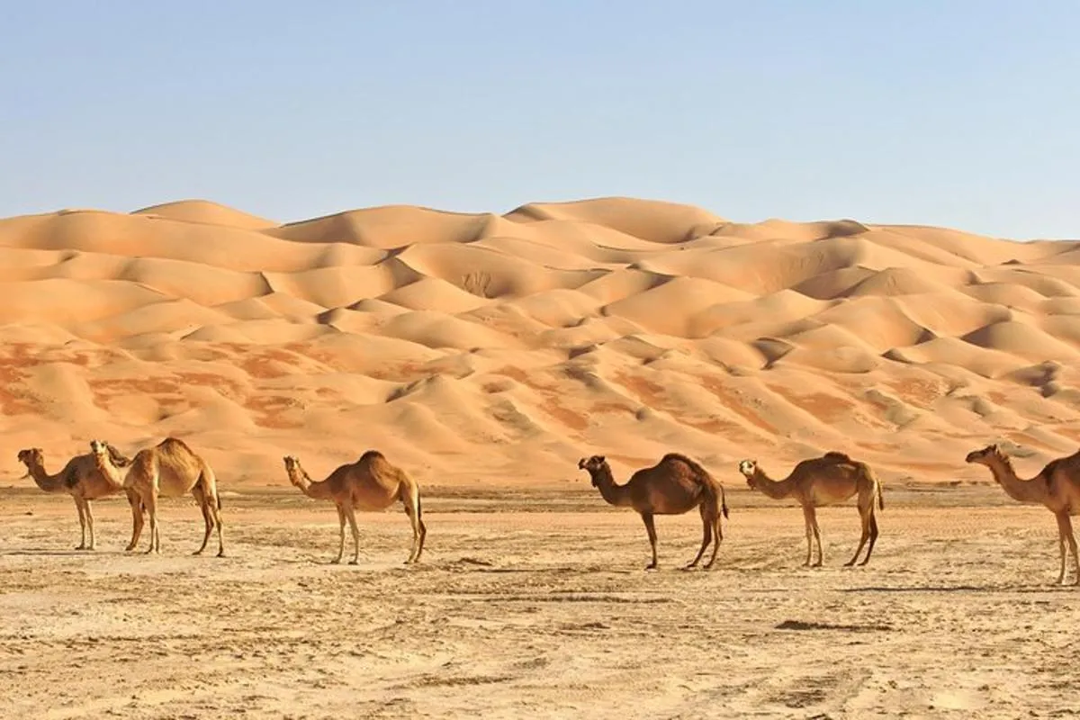 Image 3 of Private Liwa Full Day Desert Safari for Couples