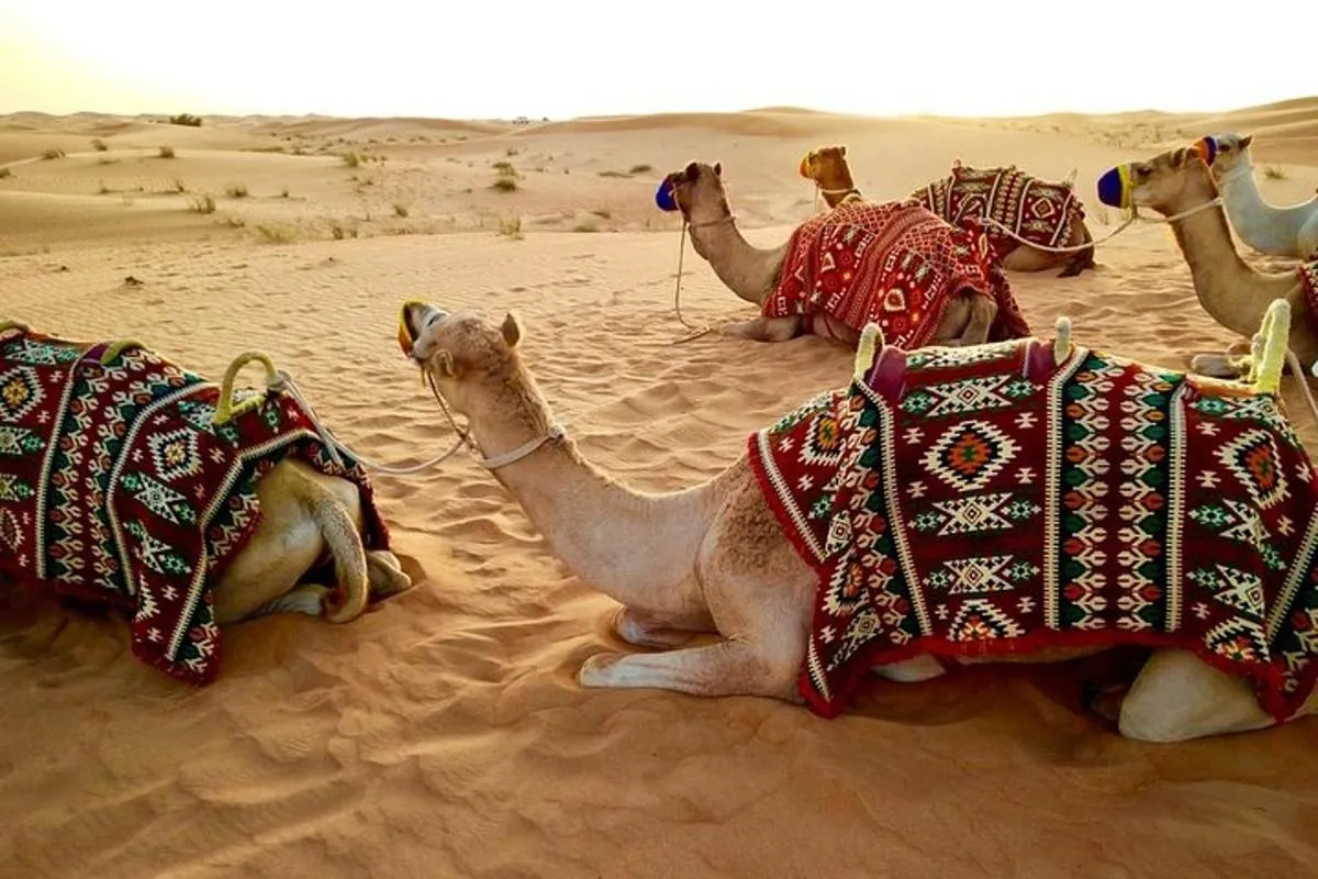 Image 3 of Private Morning Desert Safari