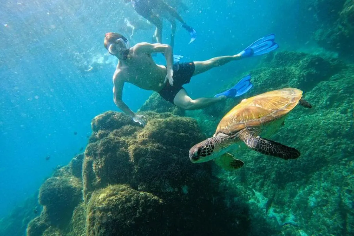 Image 3 of Private Snorkeling with turtles with BBQ food