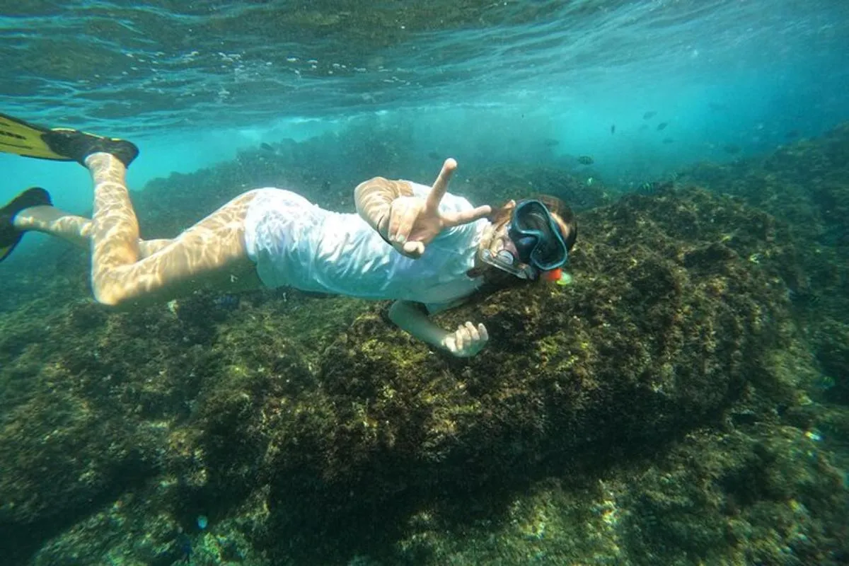 Image 6 of Private Snorkeling with turtles with BBQ food