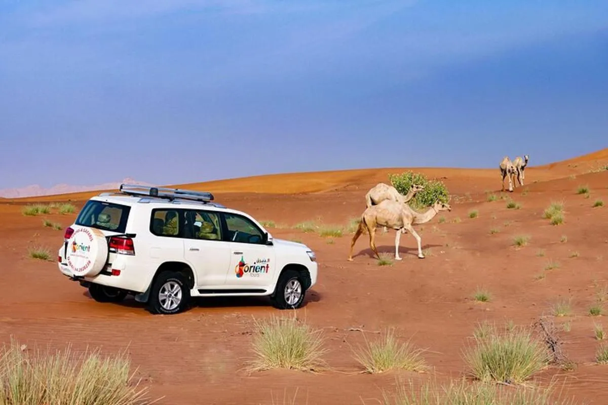Image 5 of Private Tour : Dubai Desert 4×4 Safari with Camp activities & BBQ Dinner