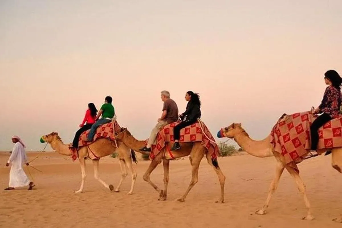 Image 3 of Red Dunes Adventure: Sandboarding, Camel Ride,BBQ & Entertainment