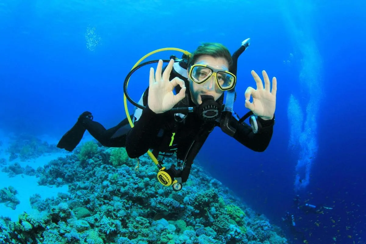 Image 1 of Scuba Dive Trip with Transportation from Dubai