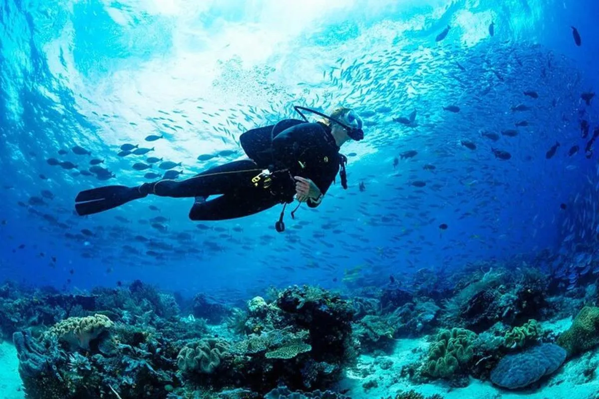 Image 2 of Scuba Diving Adventure in Dubai