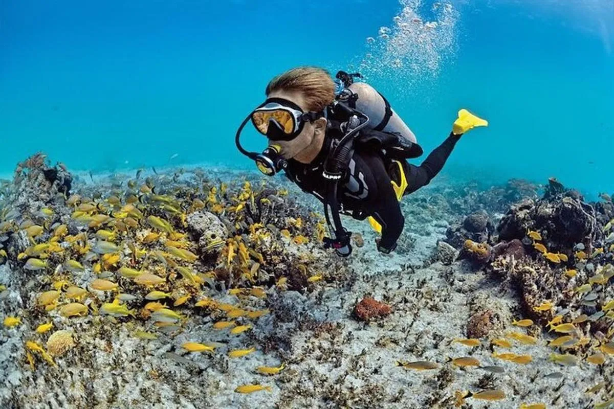 Image 3 of Scuba Diving Adventure in Dubai