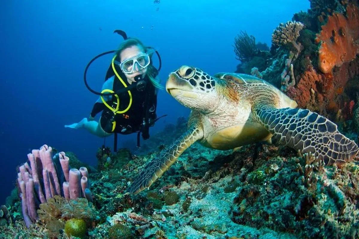 Image 5 of Scuba Diving Adventure in Dubai