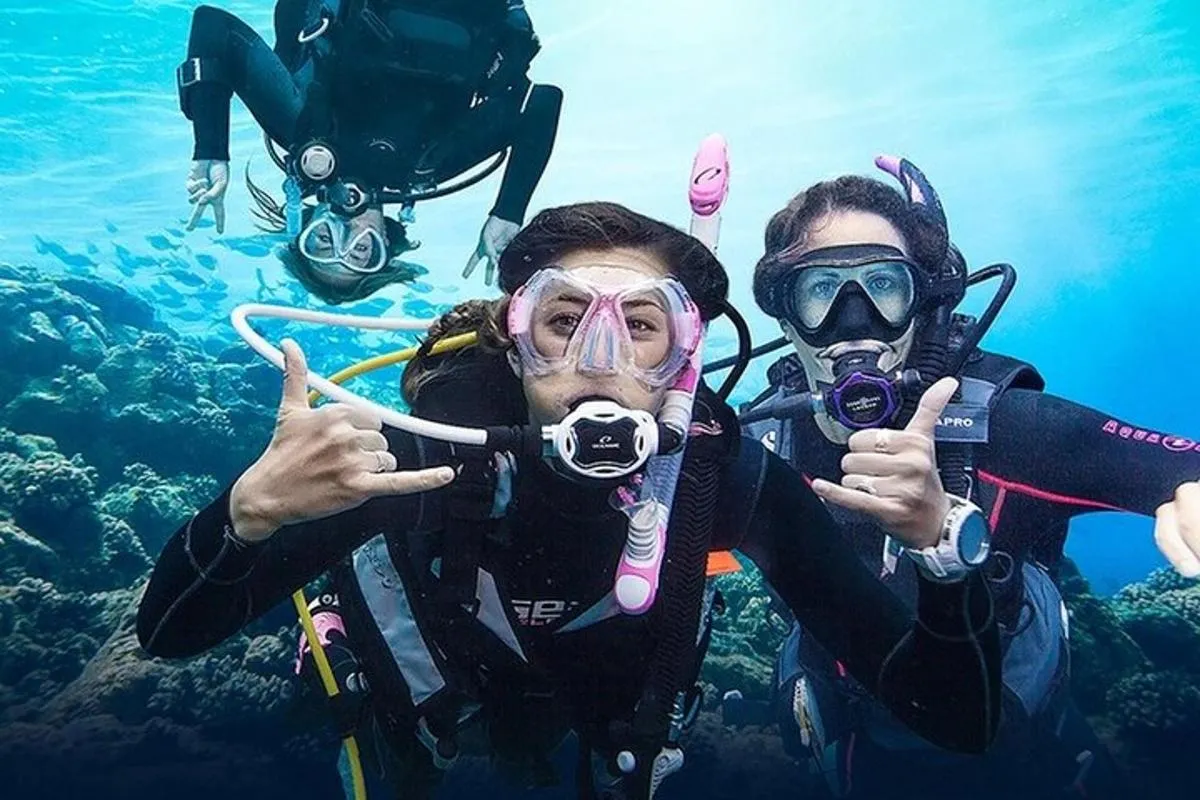 Image 6 of Scuba Diving Adventure in Dubai