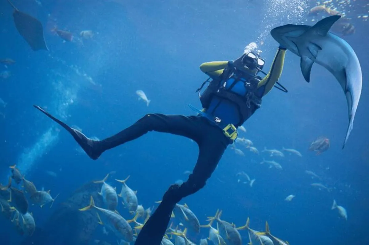 Image 0 of Scuba Diving at Jumeirah Dubai with Private Transfer