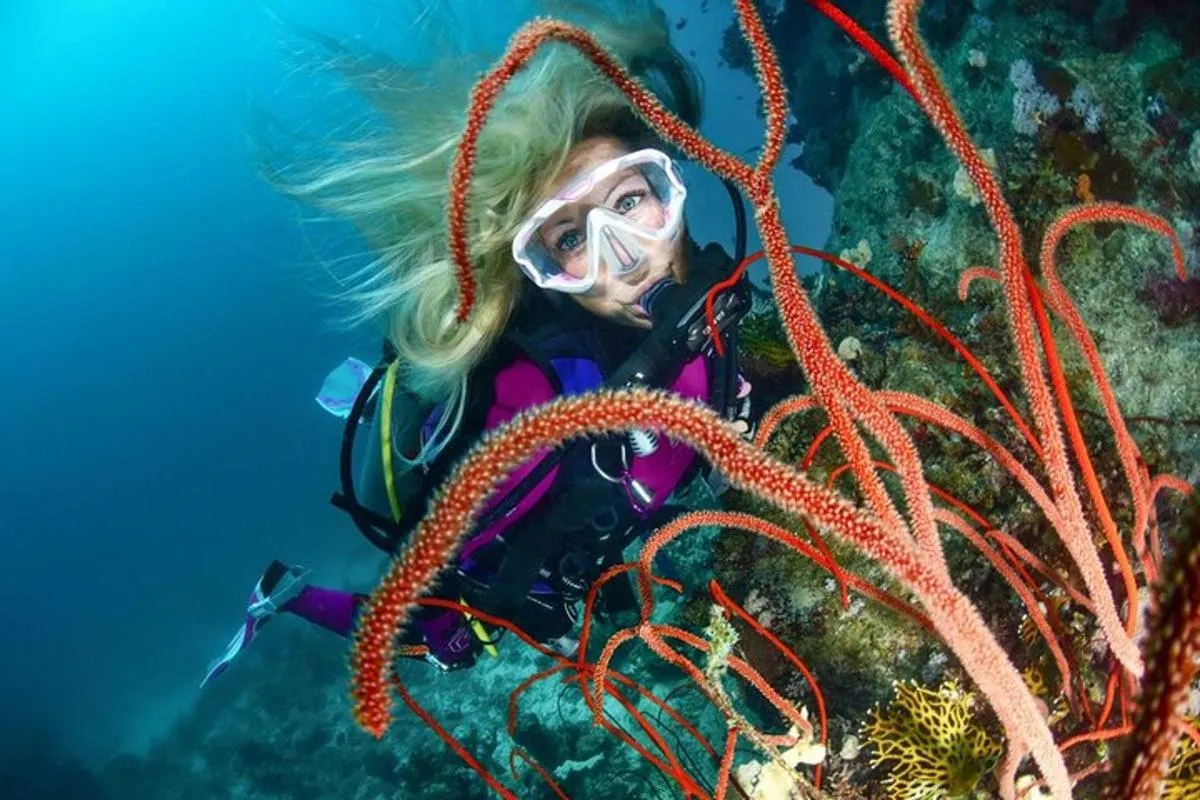 Image 0 of Scuba dive with sharing transfers