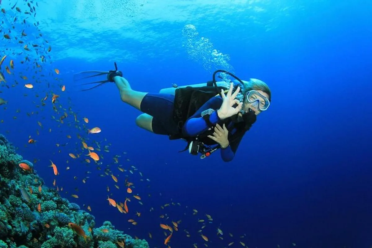 Image 1 of Scuba dive with sharing transfers