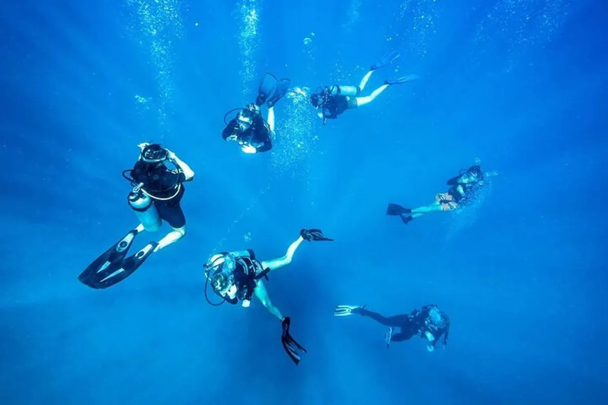 Image 5 of Scuba dive with sharing transfers
