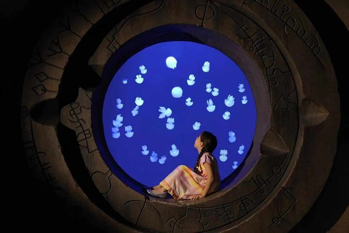 Image 0 of Skip The Line : Atlantis Lost Chambers Aquarium