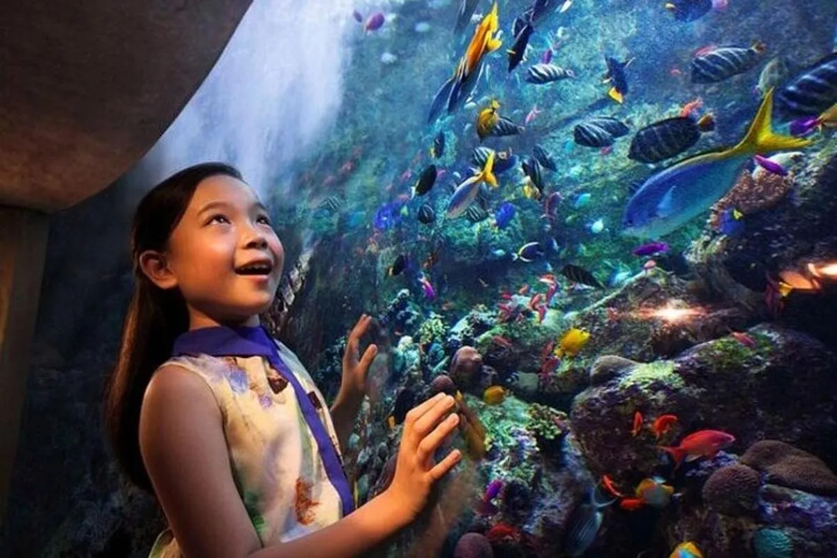 Image 2 of Skip The Line : Atlantis Lost Chambers Aquarium