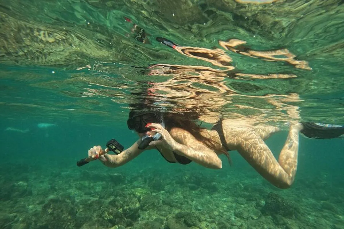 Image 5 of Snorkeling with turtles in Fujairah with Transfer & BBQ lunch