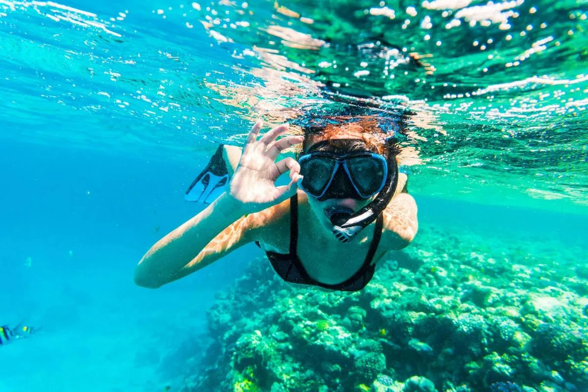 Image 0 of Snorkelling Trip with Transfers from Dubai