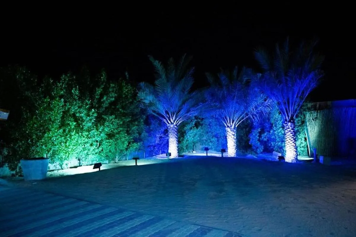 Image 3 of Standard Desert Safari, camel ride, BBQ Dinner, Belly Dance Show, Pick & Drop