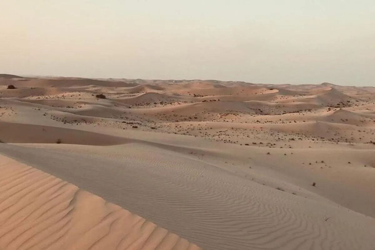Image 5 of Sunrise Desert Safari with Quad bike and Sandboarding,