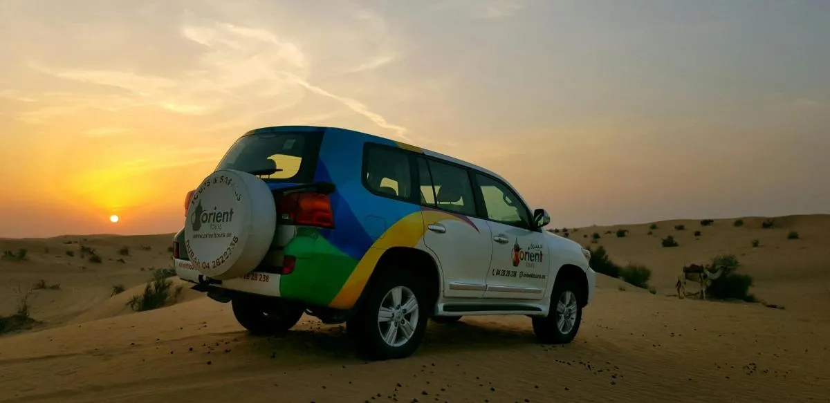 Image 4 of Sunrise and Wildlife Desert Tour