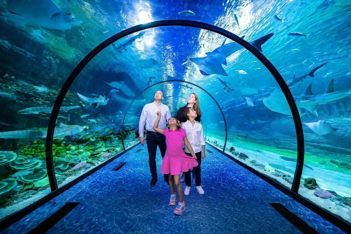 Image 2 of The National Aquarium Abu Dhabi