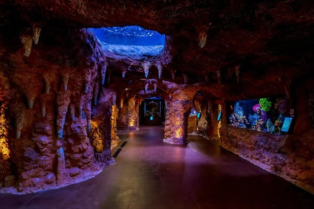 Image 6 of The National Aquarium Abu Dhabi Admission Tickets