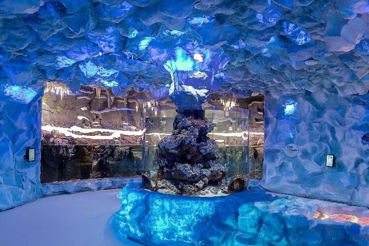 Image 0 of The National Aquarium in Abu Dhabi All Access Pass