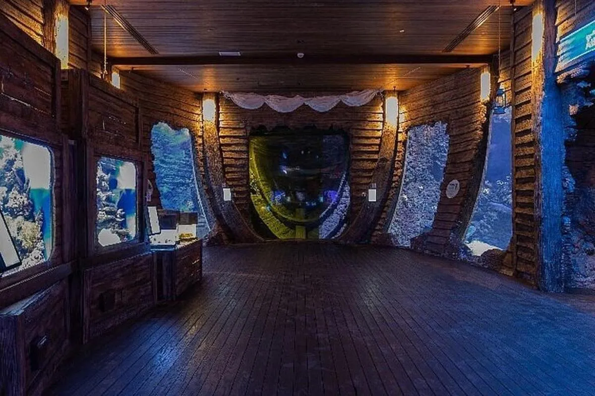 Image 1 of The National Aquarium in Abu Dhabi All Access Pass