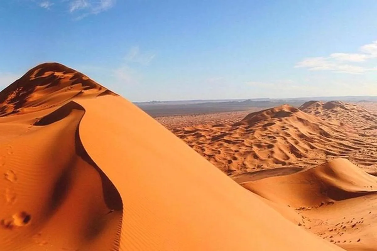 Image 2 of Thrilling Morning Red Dune Desert Safari with Camel Ride in Dubai