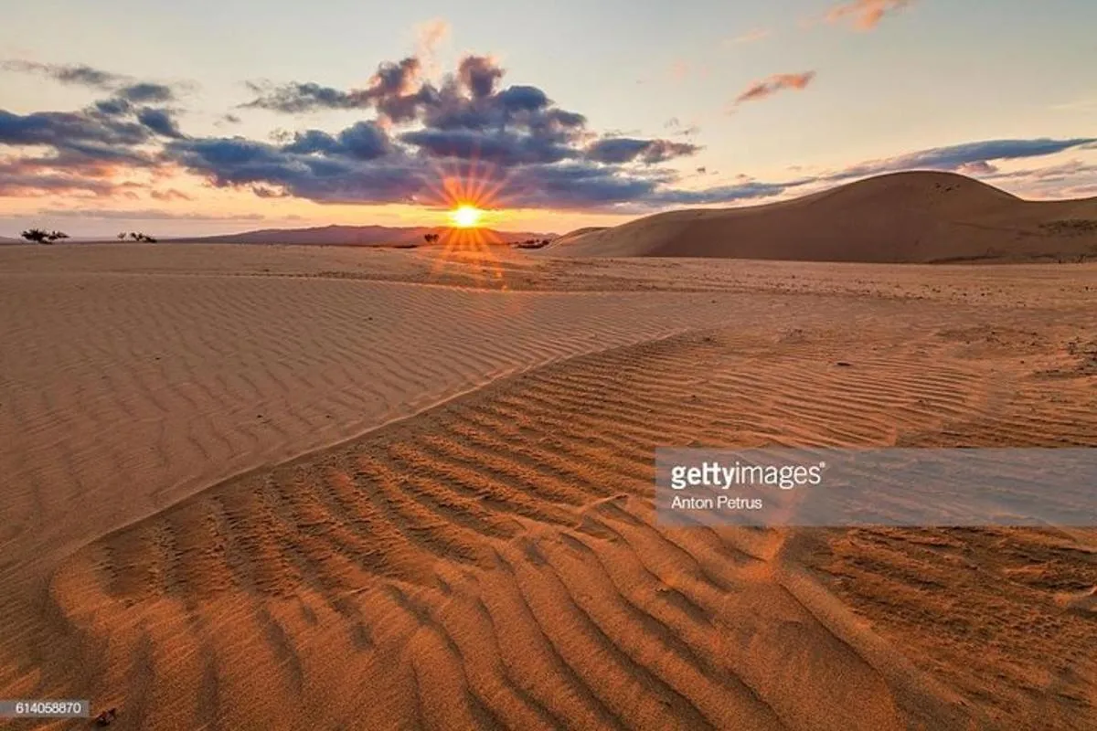 Image 3 of Thrilling Morning Red Dune Desert Safari with Camel Ride in Dubai