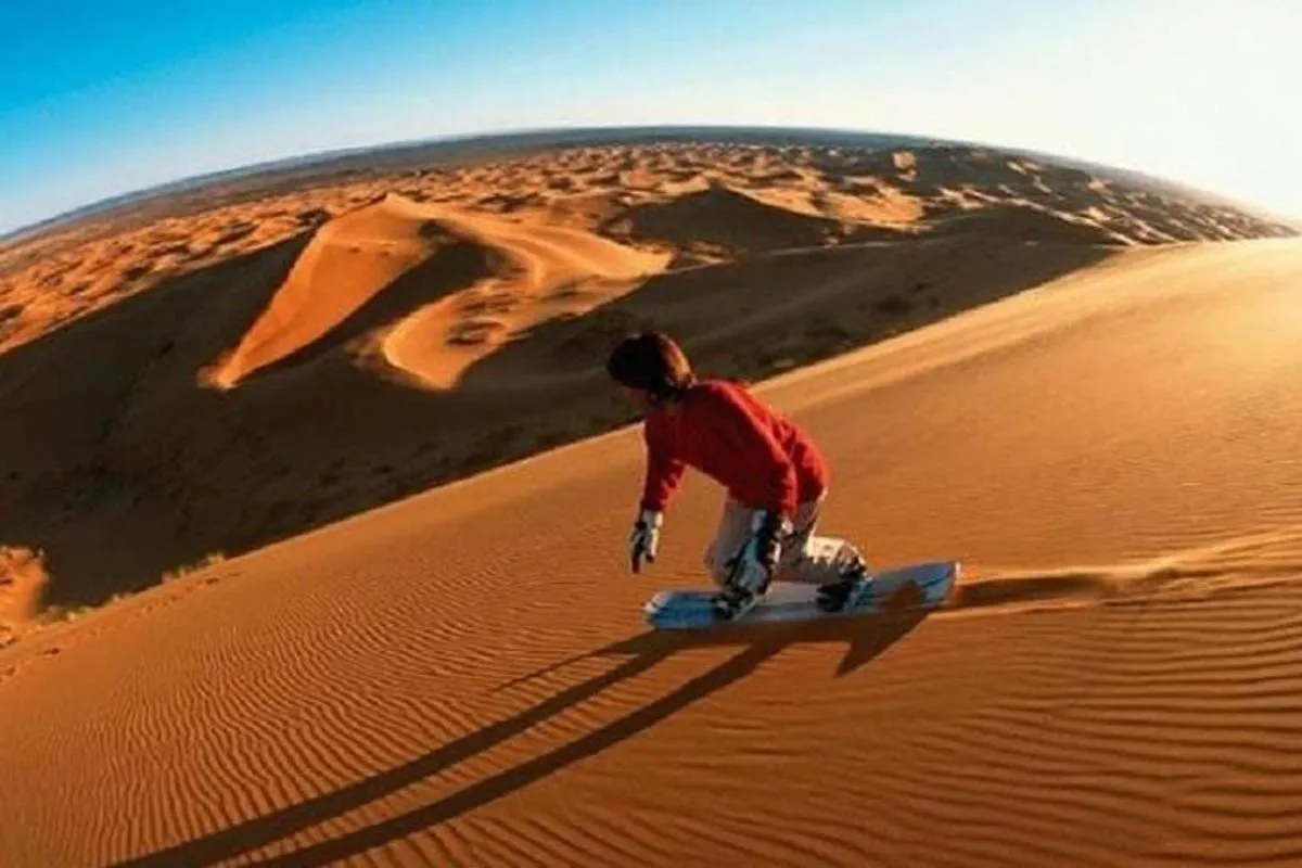 Image 5 of Thrilling Morning Red Dune Desert Safari with Camel Ride in Dubai