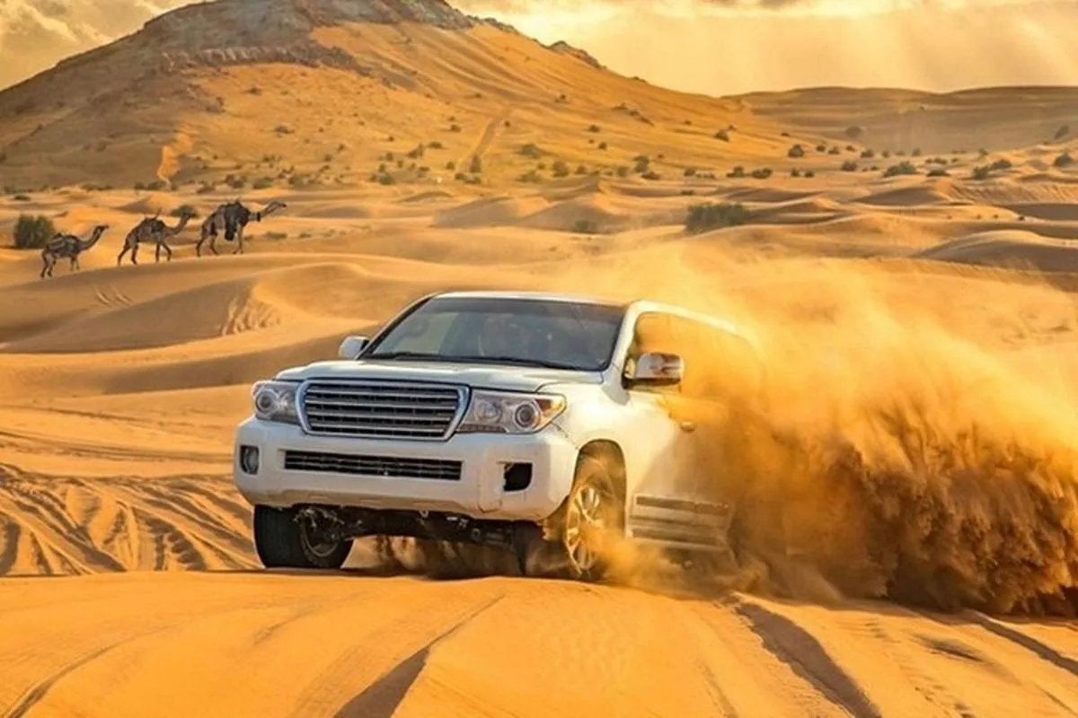 Image 2 of VIP Evening Desert Private Safari Tour in Dubai