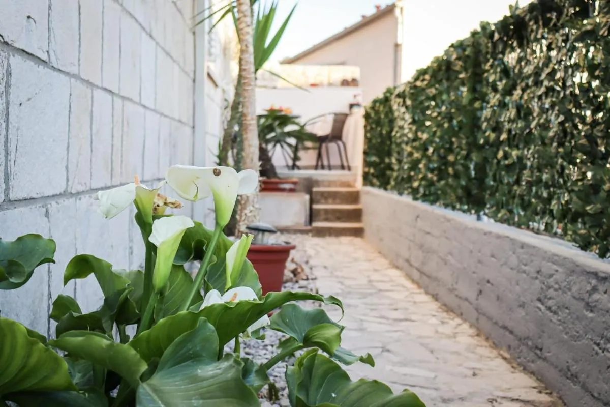 Image 3 of Luxury apartment Marko