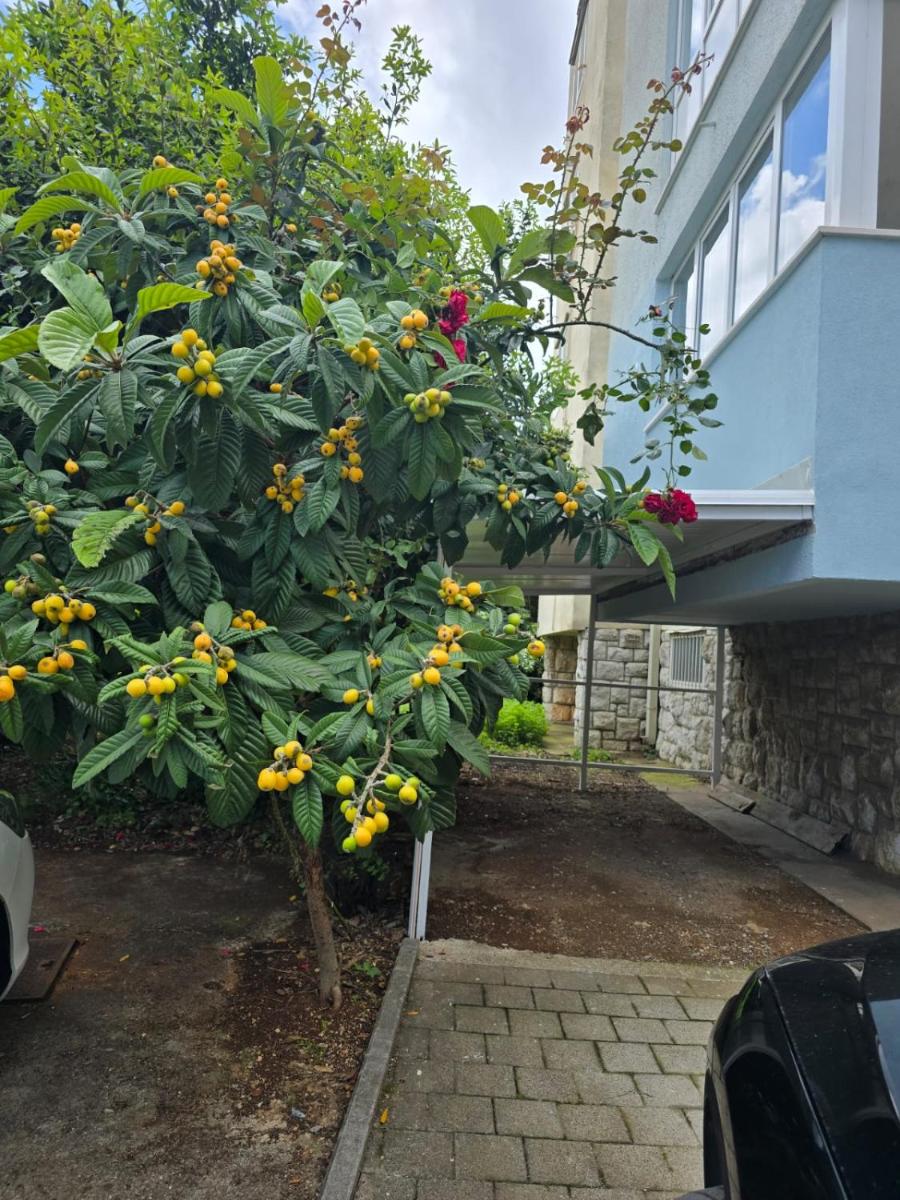 Image 3 of Apartman Dado with cover parking on ideal location