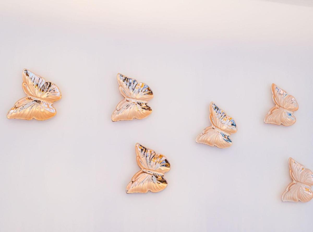 Image 6 of Apartment Butterfly