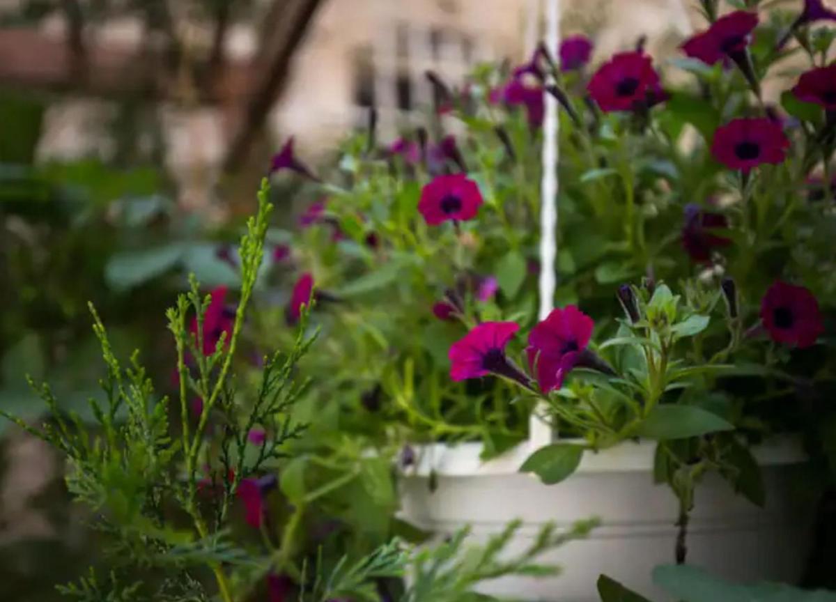 Image 1 of Apartment Ivančica