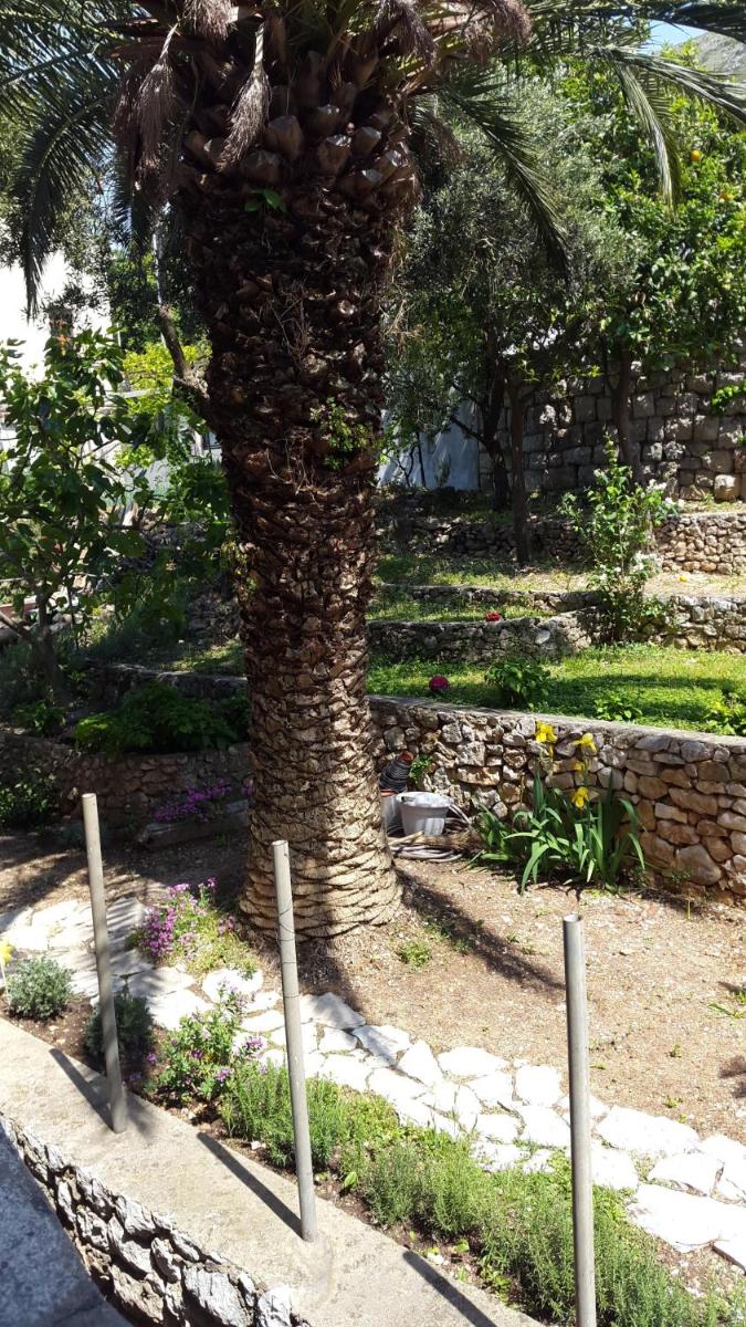 Image 5 of Apartment Karmen