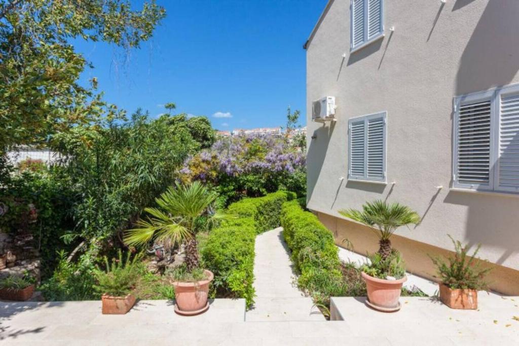 Image of Apartments Star 2