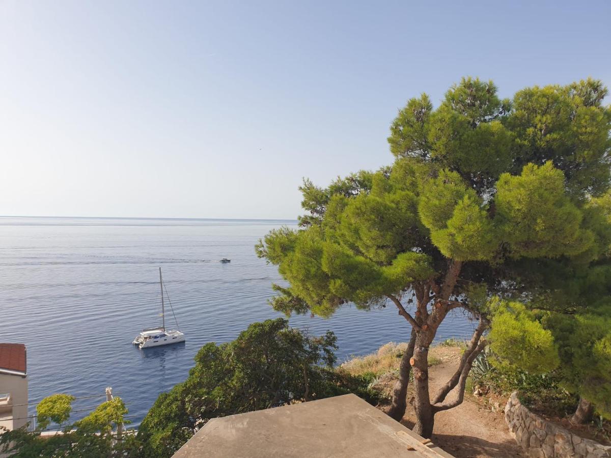 Image 2 of Apartments & Rooms Katarina