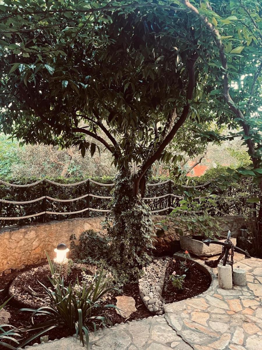 Image 5 of Garden Paradise Apartment