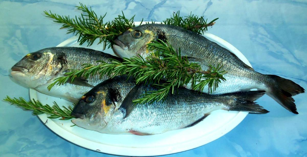 Image 3 of Sea of Eden