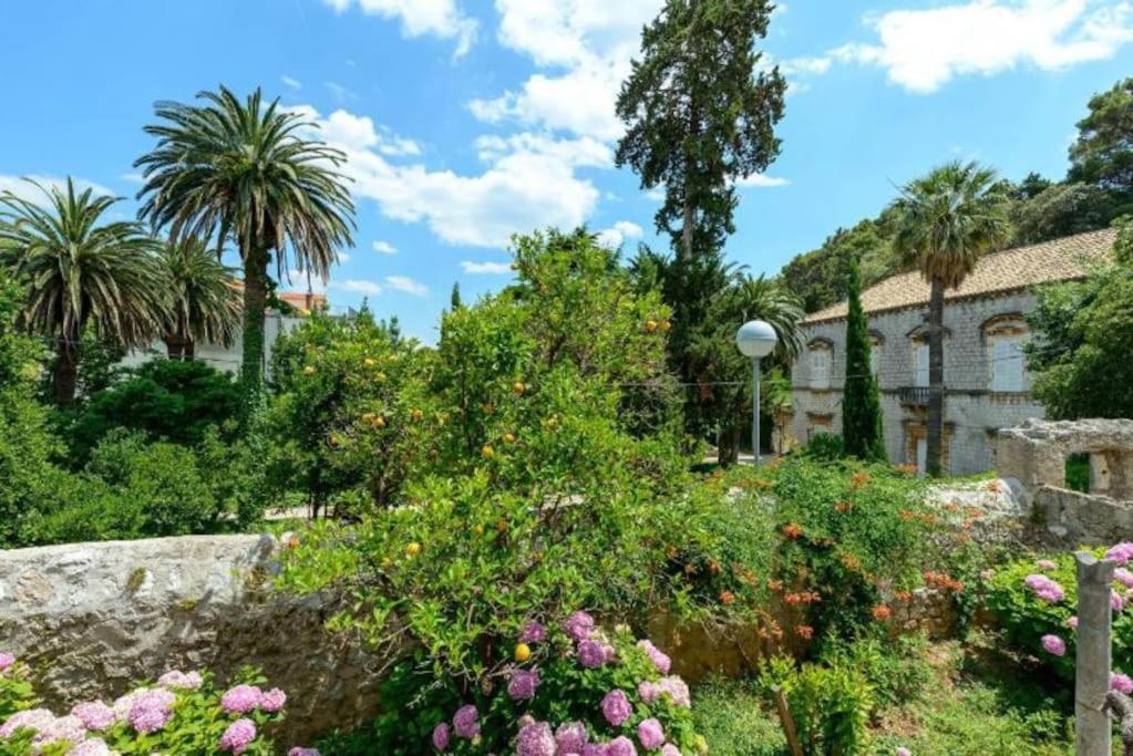 Image 5 of The Soldo’s