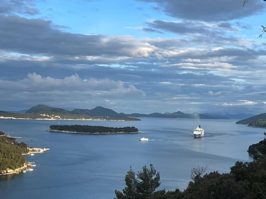 Image of View Dubrovnik