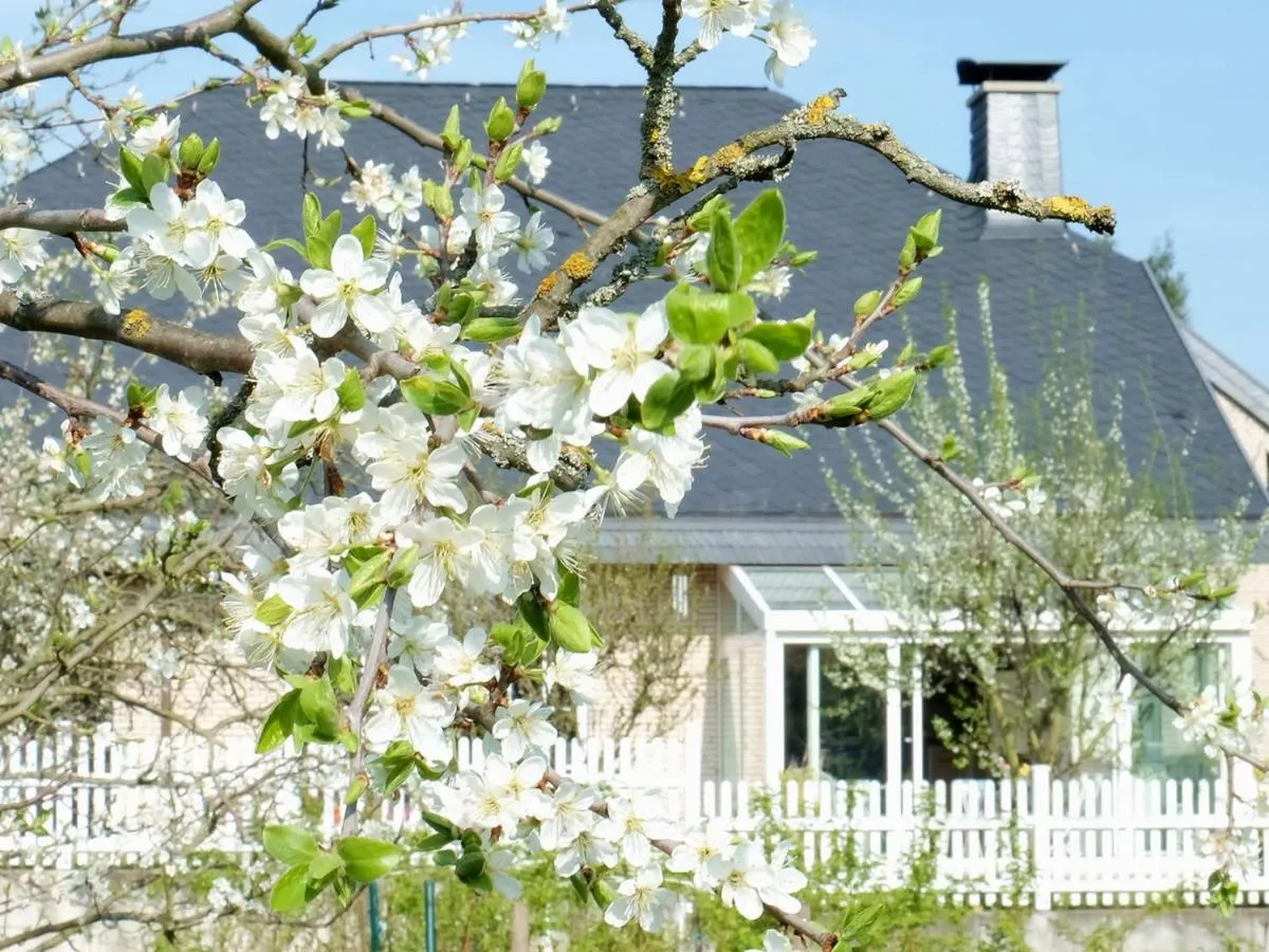 Image 5 of VILLA ORCHARD Frankfurt